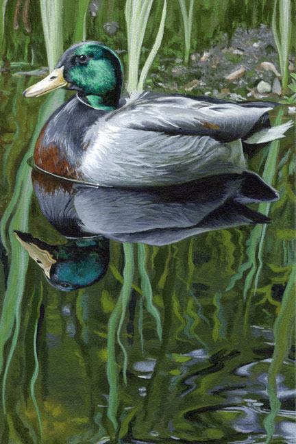 Painting of a Duck