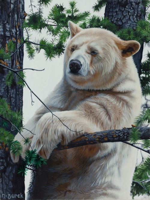 Painting of a Spirit Bear