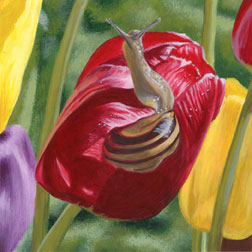 Painting of a Snail